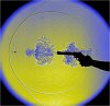 x_be5cb96d.jpg
