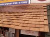 DSC02459.jpg