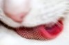 bd239c9adcc1.jpg