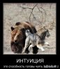 1298033215_demotivator-010.jpg