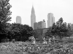 new-york-garden.png