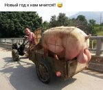 19V.jpg