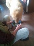 IMG_20181025_092753.jpg