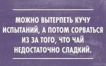48917543_1194411814039316_124395975312670720_n.png