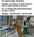 upload_2019-1-6_14-21-10.png