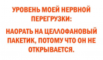 49251692_1197017403778757_8145600592933289984_n.png