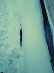 IMG_20190117_164459.jpg