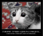 upload_2019-1-18_15-54-41.png