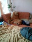 IMG_20190131_084826.jpg