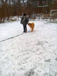 IMG_20190129_074932.jpg