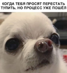 upload_2019-2-8_11-16-49.png