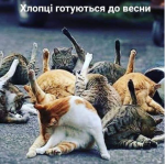 upload_2019-2-24_13-48-45.png