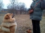 IMG_20190216_090618.jpg