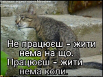 upload_2019-3-8_8-0-19.png