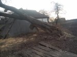 20190329_163438.jpg