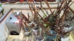 20190401_064043.jpg