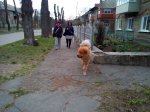 IMG_20190402_072251.jpg