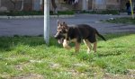 DSC_0072.JPG