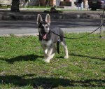 DSC_0122.JPG