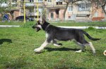 DSC_0146.JPG