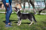 DSC_0161.JPG