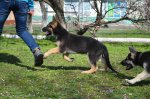 DSC_0171.JPG