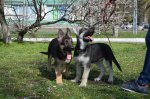 DSC_0174.JPG