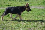 DSC_0217.JPG