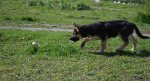 DSC_0237.JPG