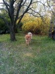 IMG_20190426_075725.jpg