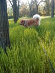 IMG_20190426_075531.jpg