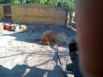 IMG_20190607_070526.jpg