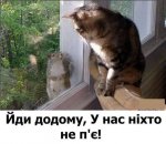 IMG-8e493e0c2312450d15e02cea34f8c60e-V.jpg