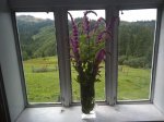 IMG_20190724_144403.jpg