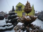 IMG_20190106_144546.jpg