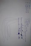 IMG_20190902_191258.jpg