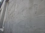 IMG_20190702_083623.jpg