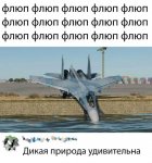 13467028.jpg