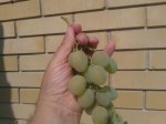 20170912_132730.jpg