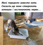 upload_2019-9-26_12-26-45.png