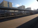 IMG_20191015_084730.jpg