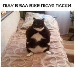 upload_2020-1-5_22-0-44.png