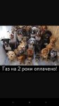 IMG-eb9b5f68cd3011c7359e63ee1b590707-V.jpg