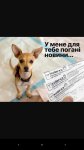 IMG-5ae86abb4ea462db956059a680fc2dbf-V.jpg