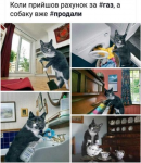 upload_2020-2-9_9-31-0.png