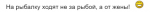 upload_2020-2-10_12-3-58.png