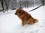 IMG_20200211_075603.jpg