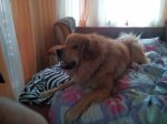 IMG_20200104_082414.jpg