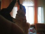 IMG_20200104_082500.jpg