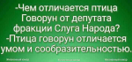 86292062_3029797320398392_2393654543293349888_n.png